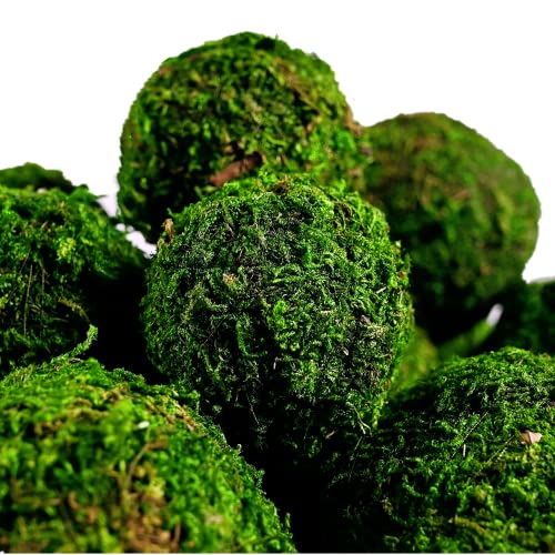 BYHER Moss Balls, 18 PCS Decorative Balls for Centerpiece Bowls - 6pcs 3.2" Natural Dried Balls+ 12pcs 2" Green Moss Balls Vase Bowl Filler (Set of 18) - size: Mix-Set of 18
