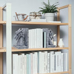 Dragon Bookends for Shelves Set of 2 - Heavy Book Ends Book Supports for Shelves - 4.15 "x 3.25 "x7 Unique Dragon Design Grey（10 Inch - color: Gray