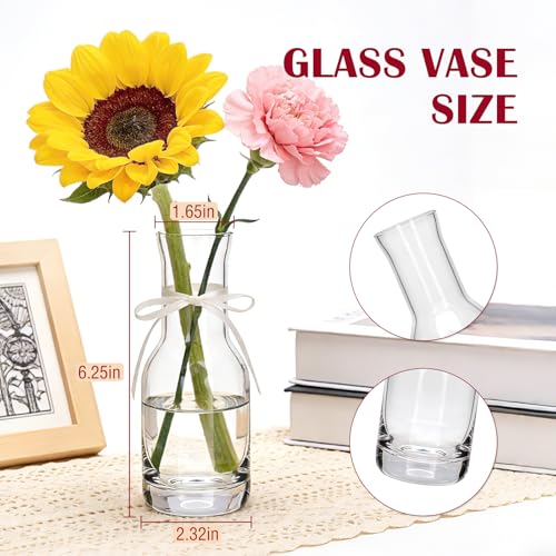 6 Inch Small Clear Glass Flower Vase, 6 Pack Ins Modern Boho Style Bud Vase for Table Centerpiece, Home Desk Decor, Wedding & Housewarming Gift