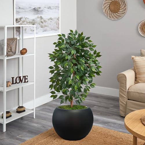 Panlaolao 13.5 H x 17" Dia (12" Pot Opening) Round Fiberstone Planter with Drainage Hole, Black, Indoor/Outdoor Large Plant Pot for Home Patio Garden, Ideal for Large Plants - color: Black, size: 17 Inch