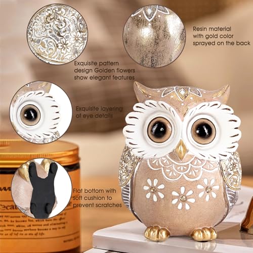 Leekung Owl Figurine Home Decor,Owl Statues and Sculptures for Shelf Decor Accents,Boho Owls Decorations for Bookshelf Bedroom Living Room Office Table Decor,Animal Gifts for Bird Lovers Women
