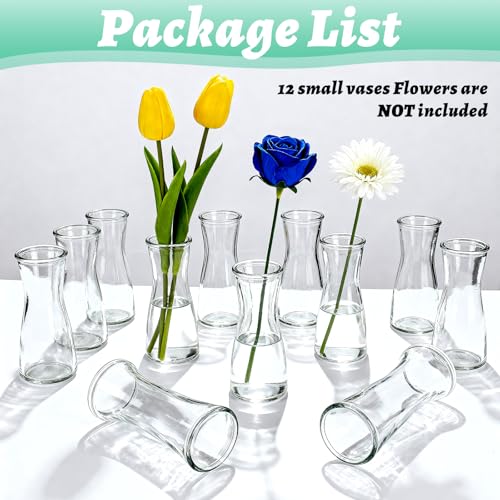 12 Pieces Glass Bud Vases for Centerpieces Clear Bulk Small Flowers Vases, Modern Minimalist Cute Decorative Table Centerpieces for Decor Wedding Birthday Party Home Living Room