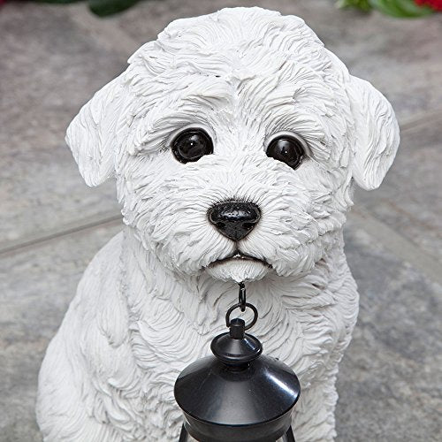 Bits and Pieces - Dog Solar Lantern Statue - Solar Powered Garden Lantern - Resin Dog Sculpture with LED Light - Outdoor Lighting and Décor (Bichon) - style: Bichon