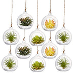 Hanging Candle Holder, Globe Tea Light Holder, Hanging Vase, Terrarium, Orbs Container, Micro Landscape DIY for Home, Office, Wedding (3.15" 6Pcs) - color: 3.15" 6pcs