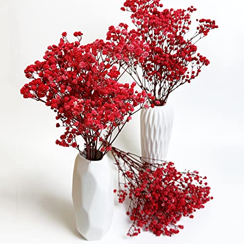 Preserved Baby's Breath 3 Bunches, 100% Natrual Fresh Gypsophila Long Lasting Flowers for Vase Arrangements Home Decoration Photo Props Parties and Weddings, DIY Décor-Red - color: Red