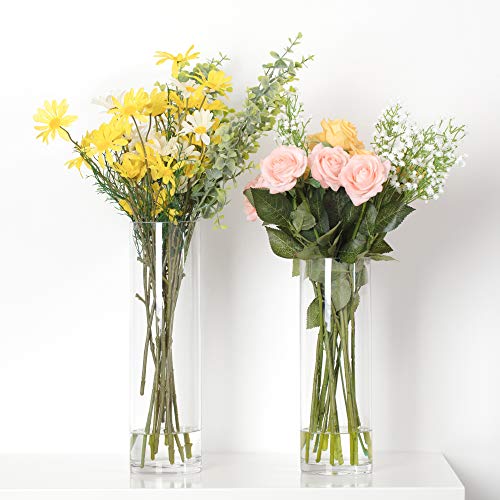 WGV Cylinder Vase, Diameter 5", Height 16", Clear Glass Floral Planter Container, Tall Centerpiece Arrangement for Wedding Party Event Home Office Decor, 1 Piece - size: 5"x16"H CL