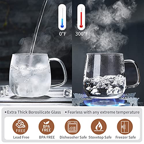 DOPUDO Glass Tea Cup with Infuser and Lid, 17.6oz/520ml Large Borosilicate Teacup,Tea Glass, Clear Mug for Loose Leaf Tea, Blooming Tea, Microwave & Dishwasher Safe - Tea Maker Gift for Birthday. - size: 1 Count (Pack of 1)