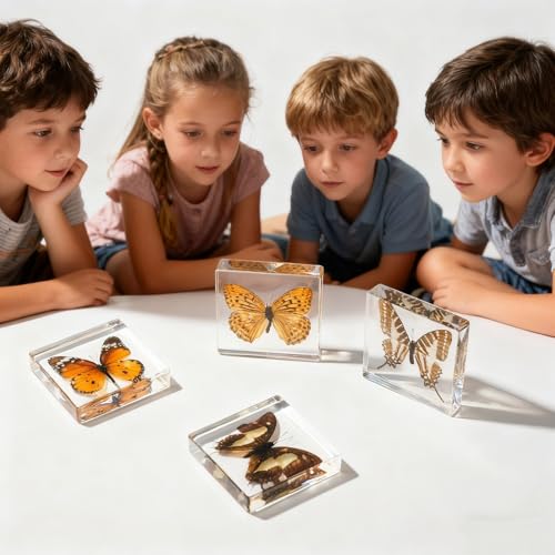 4-Pack Taxidermy Butterfly, Real Butterflies Specimens in Resin - Genuine Resin Butterflies Framed Display for Taxidermy Bugs, Oddities & Home Decor (Style 2) - color: 4pcs Butterflies Style 2
