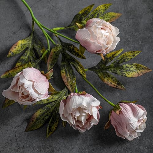 Thiccywoov 8 Pcs Artificial Peonies Stems Flowers Vintage Faux Peonies Stems Real Look Fake Peony Branches for Vase Filler DIY Bouquet Weeding Registry Centerpieces Bridal Shower Gifts Home Decor - color: Brownish