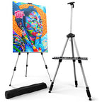 Portable Artist Easel Stand - Adjustable Height Painting Easel with Bag - Table Top Art Drawing Easels for Painting Canvas, Wedding Signs & Tabletop Easels for Display - Metal Tripod - 17x66 inches - style: 66 Inch Argent Silver (2 Pack)