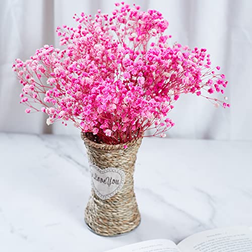 Preserved Baby's Breath 3 Bunches, 100% Natrual Fresh Gypsophila Long Lasting Flowers for Vase Arrangements Home Decoration Photo Props Parties and Weddings, DIY Décor-Pink - color: Pink