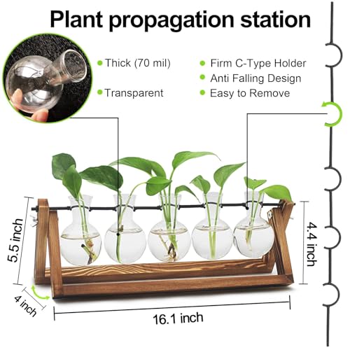 Renmxj Plant Propagation Station, Propagation Vases for Plants, Unique Gardening Birthday Gifts for Women Plant Lovers Mom Best Friend - 5 Bulb Glass Vases - size: 5 Bulb Vase