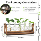 Renmxj Plant Propagation Station, Propagation Vases for Plants, Unique Gardening Birthday Gifts for Women Plant Lovers Mom Best Friend - 5 Bulb Glass Vases - size: 5 Bulb Vase
