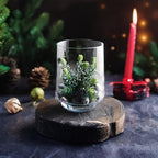 WGVI Clear Glass Pedestal Hurricane Candle Holder, 5.5" W, 6.6" H, Footed Decorative Vase for Pillar Candles, Elevated Cylinder Candleholder on a Riser Round Base, Home Décor, 1 Piece - size: 6.6"H