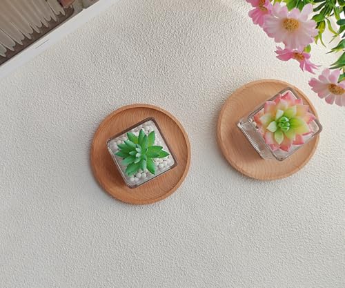 Small Mini Wooden Serving Trays 2-Pack - 4.7" Round Decorative Coasters for Drinks & Small Food - Farmhouse Kitchen Counter Decor, Coffee Table Centerpiece, Charcuterie Boards, Home Essentials - color: 4.7-round-2 Tray