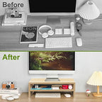 TEAMIX 2 Tiers Desktop Monitor Stand Riser 20 Inch Printer Stand with Storage Small TV Riser Laptop Wooden Desk Organizer Shelf Bookshelf Maple (Natural Maple, 2 Tiers) - color: Natural Maple