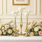 6 Pack 7.9" Glass Bud Vase for Candlesticks & Brass Gold Taper Candle Holder Set, Flower Vase with Silicon Rubber Case Fits Candlestick Size 20-22mm for Tablescapes, Weddings, Home Decor