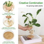 Plant Propagation Station,Hydroponic Glass Container Vase Jars, with Wooden Saucer for Desks, Houses, Garden Decorations, Home Kitchen Decorations and Gifts for Plant Lovers (2)