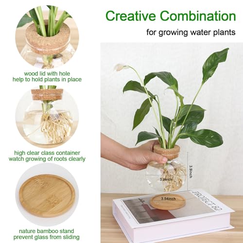 Plant Propagation Station,Hydroponic Glass Container Vase Jars, with Wooden Saucer for Desks, Houses, Garden Decorations, Home Kitchen Decorations and Gifts for Plant Lovers (4)