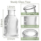 DomeStar 16PCS Glass Bud Vases for Flowers, 3.8inch Small Flower Vase in Bulk Clear Mini Ribbed Vases for Centerpieces Suitable for Modern Wedding Reception Baby Shower Table Decorations