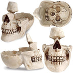 READAEER Skull Glasses Stand Holder, Creative Eyeglasses Holder, Sunglasses Spectacle Display Rack, Key Holder Resin Sculptures for Entryway, Home, Office, Desk, Nightstand (White) - color: White