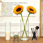 Brajttt Glass Cylinder Vase,10 Pack Glass Flower Vases,Hurricane Floating Candle Vases for Centerpieces Tables,Tall Cylinder Clear Vase for Centerpieces Wedding Party Home Décor