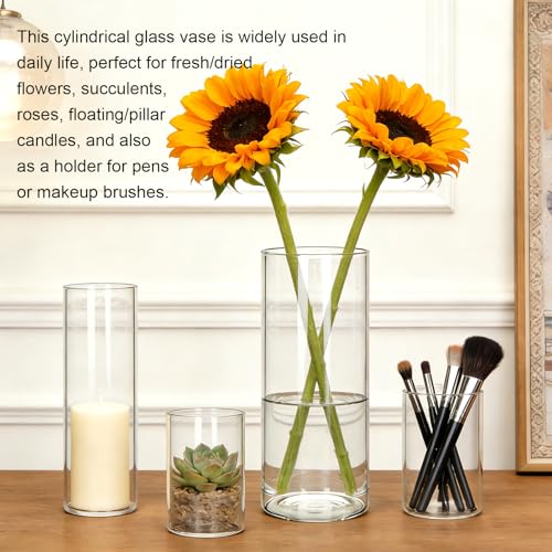 Brajttt Glass Cylinder Vase,10 Pack Glass Flower Vases,Hurricane Floating Candle Vases for Centerpieces Tables,Tall Cylinder Clear Vase for Centerpieces Wedding Party Home Décor