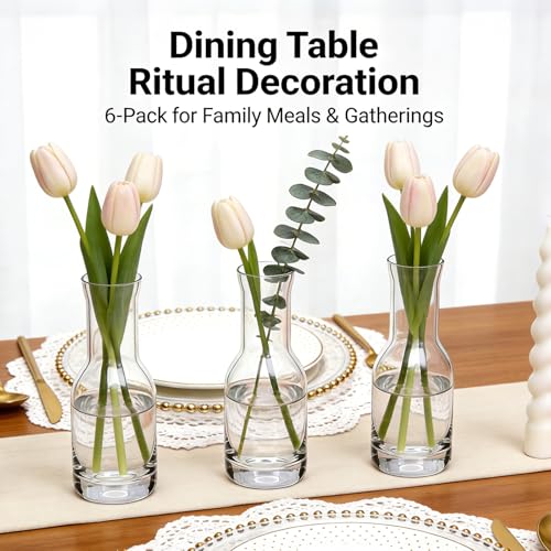 6 Inch Small Clear Glass Flower Vase, 6 Pack Ins Modern Boho Style Bud Vase for Table Centerpiece, Home Desk Decor, Wedding & Housewarming Gift