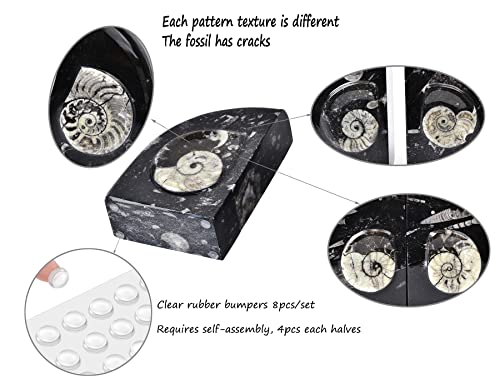 AMOYSTONE Heavy Duty Sturdy Bookends for Shelves, Morocco Orthoceras Fossil Heavy Bookends Stopper 6-8 LBS for Home Office Books with Rubber Bumpers (1 Pair Height 6.2") - color: Black & White D, size: 6-8 Lbs
