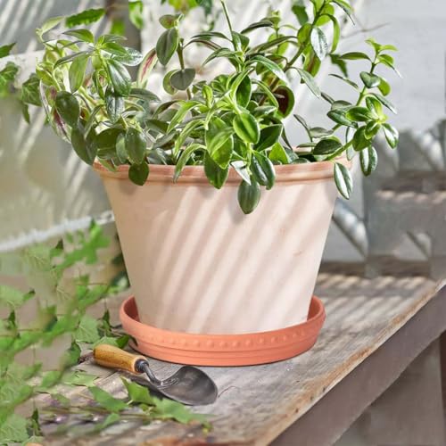 YBX 8-inch Plant Saucer Premium Terracotta Saucer Round Ceramic Plant Trays, Pack of 2 (Nature/Terracotta) - color: Terracotta