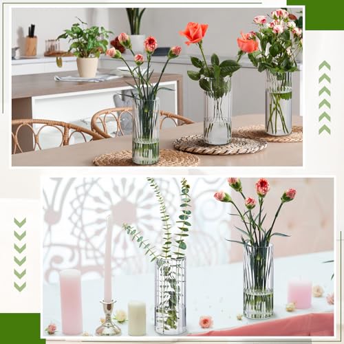 6 Pcs 8 Inch Tall Glass Ribbed Cylinder Vases Clear Floating Candle Flower Vase in Bulk, Hurricane Candle Holder for Wedding Housewarming Gift Table Centerpieces - color: Clear, size: 8 Inch