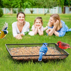 MIXXIDEA Ground Bird Feeder Tray 11x11 Inches, Metal Platform Mesh Seed Tray for Bird Feeders, Great Attracting Garden Yard Decoration for Wild Birds Squirrels Dove,1 Pack - size: 11x11 inches (1 pack)