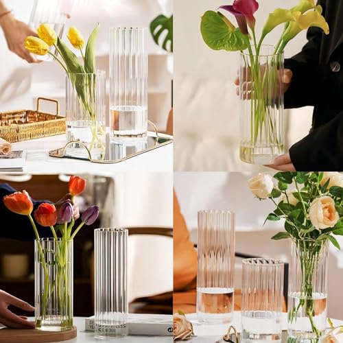 10 inch Clear Glass Flower Vases,Ribbed Vase for Centerpiece Table Home Indoor Desk Decor, Modern Boho Style Vase for Wedding House Gift - color: Large Clear