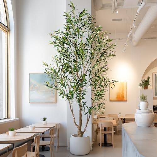 6ft Faux Olive Tree with White Pot & Moss, Artificial Olive Tree Indoor Outdoor, PE/PVC Leaves, Realistic Resin Trunk Large Fake Olive Tree Artificial Plants Indoor, Faux Plants Indoor for Home Decor