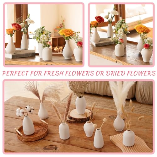 8 Pack Ceramic Bud Vase, White Ceramic Vase Modern Mini Bud Vase in Bulk for Centerpieces, Small White Vase for Flowers Pampas Grass, Wedding, Home - color: White-set of 8