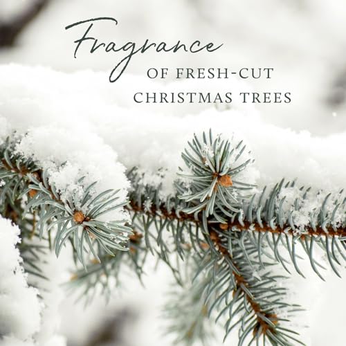 Thymes Frasier Fir Scented Candles for Home Decor - Green Pillar Candles for Women & Men - Place on Candle Holder - Luxury Home Fragrance Gifts (Molded Pinecone Pillar) - size: 4.5 in x 3.5 in