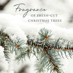 Thymes Frasier Fir Scented Candles for Home Decor - Green Pillar Candles for Women & Men - Place on Candle Holder - Luxury Home Fragrance Gifts (Molded Pinecone Pillar) - size: 4.5 in x 3.5 in