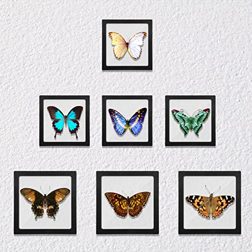 Linkstyle 10PCS Challenge Coins Display Stand Holder, 3D Floating Frame Transparent PE Floating Display Case, Jewelry Storage Box Suspension Frame for Medal, Medallion, Stamps - size: 4.3x4.3in, 5.5x5.5in
