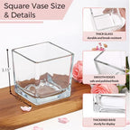CONNOO 12 Pack Square Glass Vase 3" x 3" x 3", Clear Bulk Flower Vases for Centerpieces, Square Glass Cube Vase Floating Candle Holders for Wedding Party Home Decor - size: 12 Pack 3 Inch