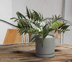 D'vine Dev Set of 2 Plants Pots, 6 Inch Ceramic Planter Pot for Plants with Drainage Hole and Saucer, Speckled Grey, 94-V-C-3 - color: Gray, size: 6 Inch