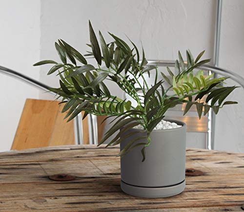 D'vine Dev Set of 2 Plants Pots, 6 Inch Ceramic Planter Pot for Plants with Drainage Hole and Saucer, Speckled Grey, 94-V-C-3 - color: Gray, size: 6 Inch