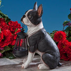 Bits and Pieces - Boston Terrier Solar Lantern Statue - Yard Decorations - Solar Powered Garden Lantern - Resin Dog Sculpture - Outdoor LED Lighting - style: BosTerrier Lantern