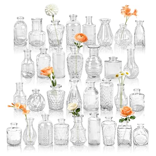 Der Rose Glass Bud Vases Set of 32 Small Clear Flower Vases for Rustic Wedding Centerpieces Table Decorations and Home Office Decor(Clear) - color: Clear