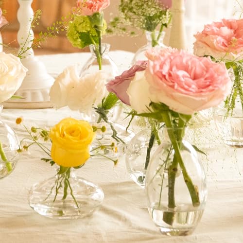 Glass Bud Vase Set of 28 Pcs for Rustic Wedding Centerpieces and Home Decor, Small Glass Vases for Flowers, Mini Bud Vase Set，Vintage Vases for Centerpieces