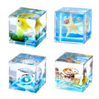 4Pcs Marine Taxidermy in Resin, Interesting Square Marine Microlandscape Specimen Set for Back-to-School Gift Oddities Paperweights Scientific Education Supplies（1.57x1.57 inch） - color: Marine Animals A