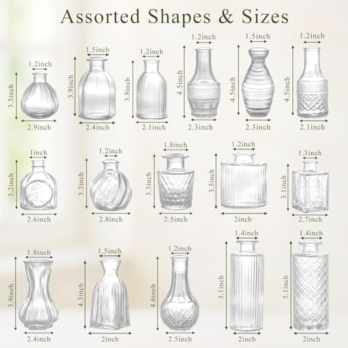 DomeStar 16PCS Glass Bud Vases Set, Small Clear Cylinder Vases for Plant Propagation Station Plant Terrarium, Vintage Clear Bud Vase in Bulk for Rustic Wedding Centerpieces Home Table Flower Decor