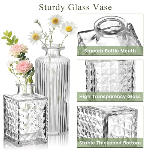 DomeStar 16PCS Glass Bud Vases Set, Small Clear Cylinder Vases for Plant Propagation Station Plant Terrarium, Vintage Clear Bud Vase in Bulk for Rustic Wedding Centerpieces Home Table Flower Decor