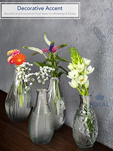 Royal Imports Clear Glass Bottle Bud Vase, Small Single Stem Flower Centerpiece, Mini Decorative Floral Jars, Rustic Farmhouse Home Decor, Kitchen, Fireplace, Shelf, Narrow One Rose Holder, Set of 4 - size: Medium (Set of 4)