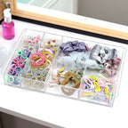 ZEXALOR 8-Section Clear Drawer Organizer, Large Acrylic Drawer Divider Tray for Desk,Bathroom,Office Makeup,Junk, Plastic Drawers Organizer 13.7" x 8.7" x 2" (8-Section)