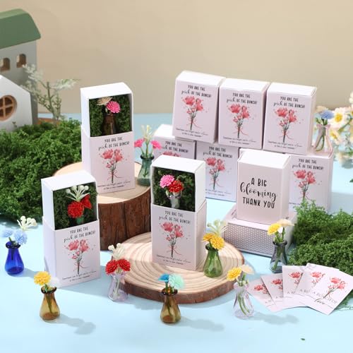 24 Sets Mother's Day Bulk Gifts for Women Teacher Nurse Appreciation Positive Mini Bud Vases with Flower Office Desk Decor Mini Box Breathing Thank You Gifts for Graduation Coworker Staff (Mix Color) - color: Mix Color